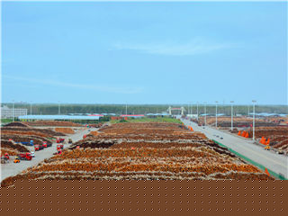js3333线路检测中心(中国)有限公司-Official website